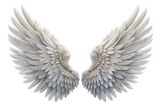 Majestic Pair of White Angel Wings png
