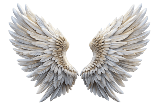 Majestic Pair of White Angel Wings on Black Background Detailed Feather Texture png