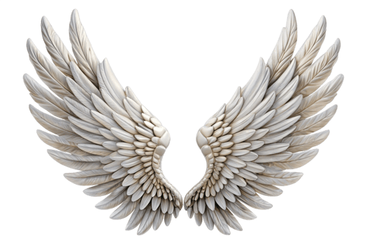 Elegant White Angelic Wings Isolated on Black Background png
