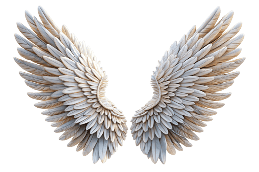 Closeup view of a pair of exquisitely detailed, white angelic wings against a black background png