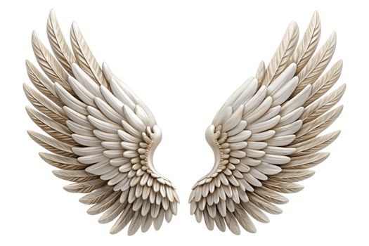 Pair of Elegant White Angelic Wings Decor Wall Art Sculpture png