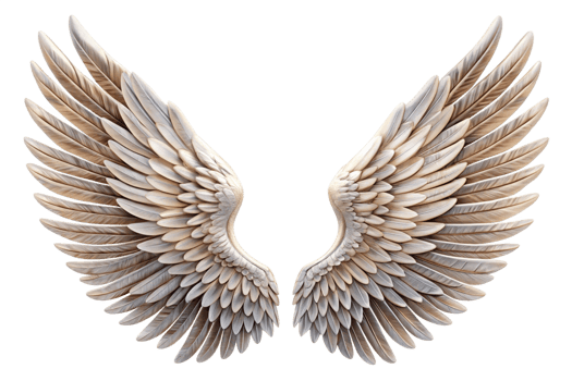 Closeup view of a pair of magnificent sculpted angel wings with detailed feather texture against a black background png