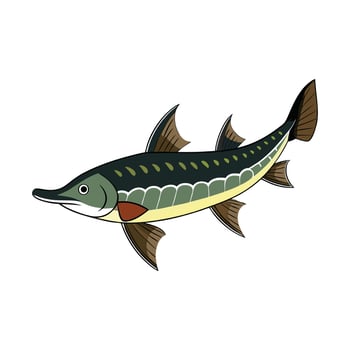 Elegant Artwork of Lake Sturgeon vector