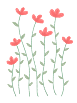Illustration soft red flower for decoration png