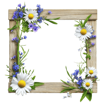 Wooden frame decorated with flowers and green space inside png