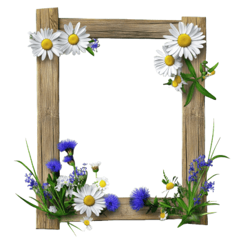 A rustic wooden frame adorned with daisies and other wildflowers png