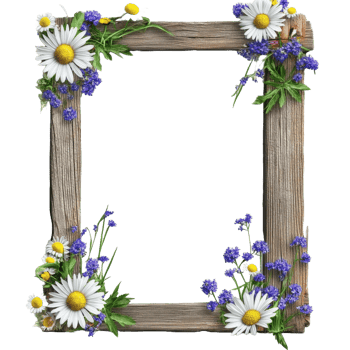 A rustic wooden frame decorated with vibrant flowers and foliage png