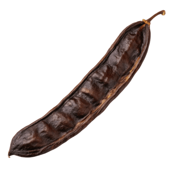 Top view of Carob, isolated on a transparent background png