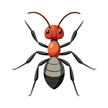 Colorful Ant Illustration For Educational Use vector