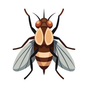 General Horsefly on White Background vector