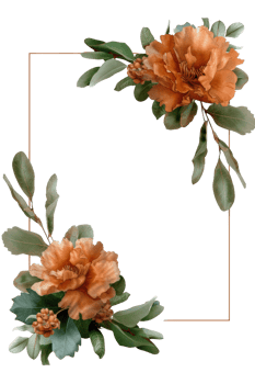 Elegant Floral Arrangement with Orange Flowers and Green Leaves on a Black Background for Stunning Visual Impact png