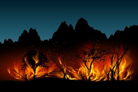 Forest Fire in Mountain Landscape at Night vector