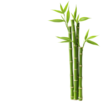Lush Green Bamboo Shoots on Black Background png