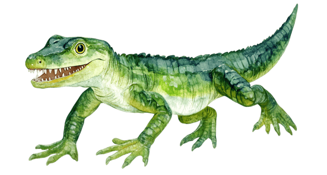 Cute Cartoon Crocodile Watercolor Illustration png