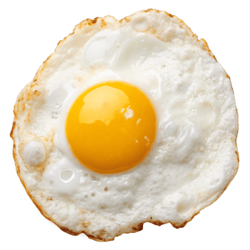 Close-up of a perfectly cooked fried egg. png