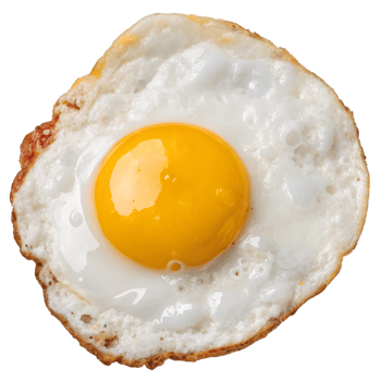 cooked fried egg. png