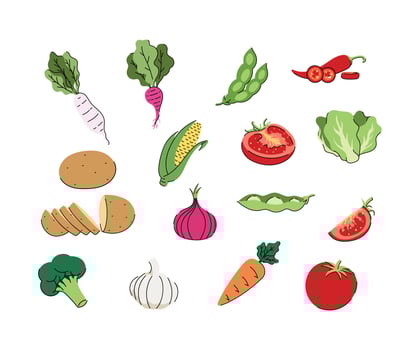 Various kinds colorful hand drawn fresh delicious vegetables Healthy Ingradients Illustration vector
