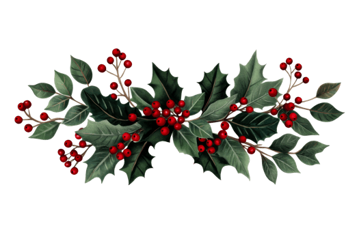 Holly branches with red berries on a clear background png