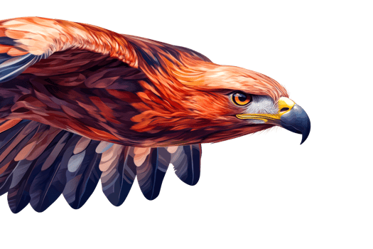 Majestic eagle soaring with powerful wings against clear backdrop png