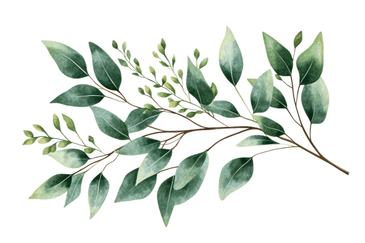 Elegant greenery branch with various leaf shapes and sizes png
