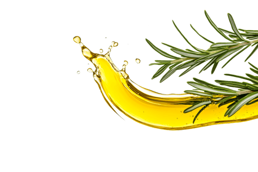 Olive oil splash with rosemary on a transparent background png