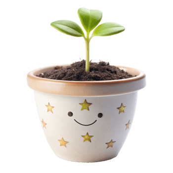 cheeky flower plant in the pot is isolated on transparent background png