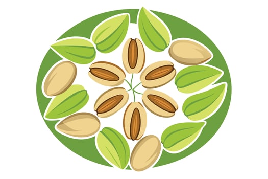 Circular pistachio design, vibrant illustration. vector