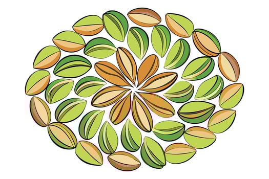 Colorful Pistachios Arranged in a Circular Design vector