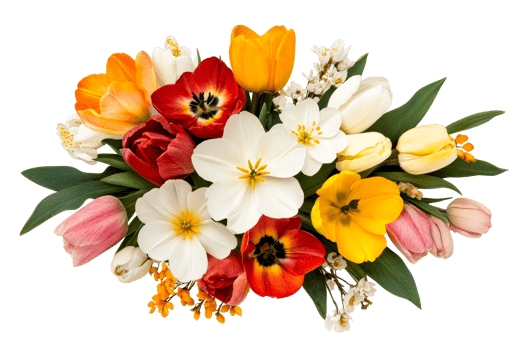 Colorful bouquet of spring flowers with transparent background png