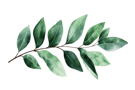 Textured green leaf branch on a clear background png