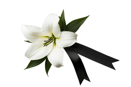 Elegant white lily with black ribbon pays tribute png