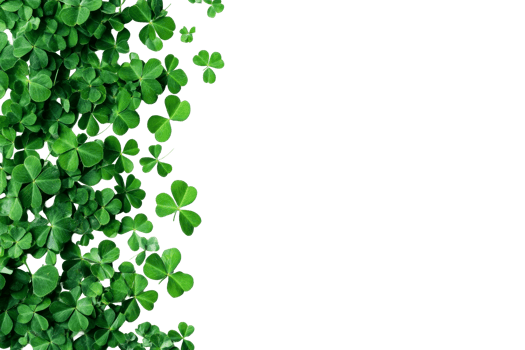 Clovers scattered on a transparent background for decoration png