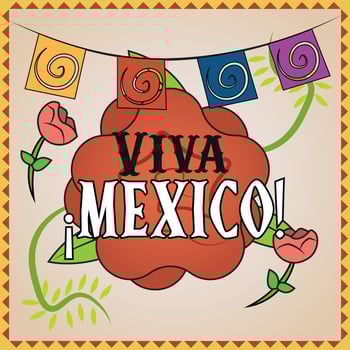 Viva Mexico text with rose and paper flags. vector