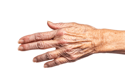 Elderly hand with wrinkles and spots, skin texture details, cut out transparent png