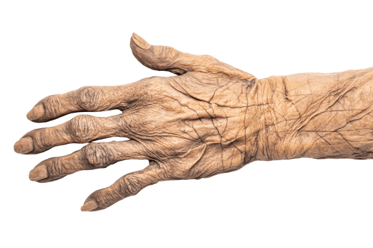 Realistic depiction of an elderly human hand png