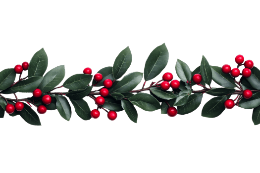 Green leaf and red berry garland png