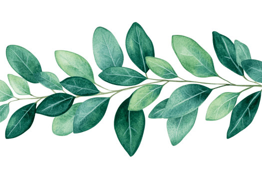 Vibrant green leaves on a transparent background png