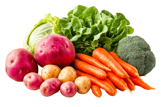 Fresh veggies on clear background png