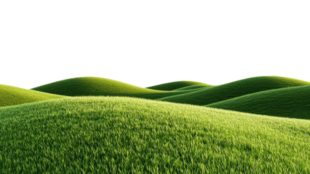 Green hills, lawn, grass, meadow, sunlight, background, cut out transparent png