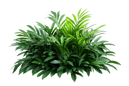Tropical greenery flourishes, cutout transparent png