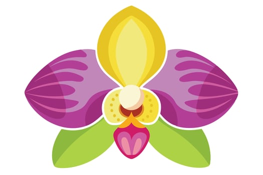 Vibrant Orchid Flower Design Illustration vector