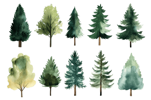 Watercolor collection of trees, nature design element , cut out transparent png