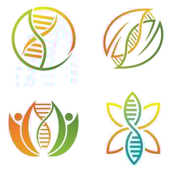DNA Helix And Leaf With Gradient Color vector
