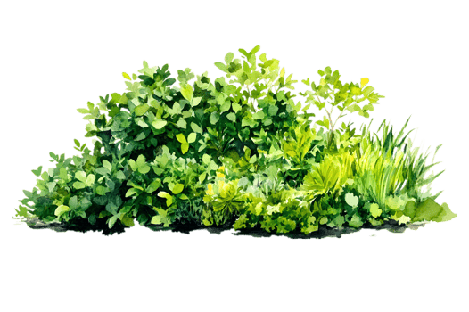 Lush Green Watercolor Painting of Varied Foliage and Greenery png