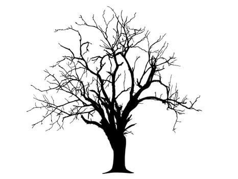 Black branch Tree or Naked trees silhouettes on white background. vector