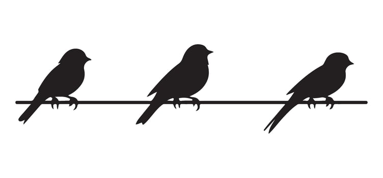 Three Birds on a Wire Black Silhouette Graphic vector
