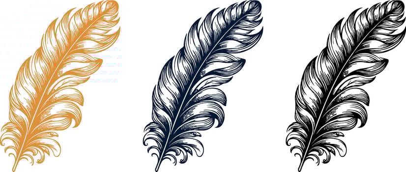 Elegant Vintage Feather Illustration, Ornamental Quill Pen Artwork vector