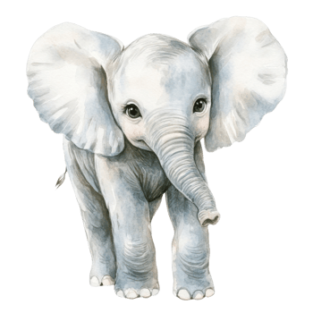 Adorable Baby Elephant Watercolor Clipart on transparent background. png