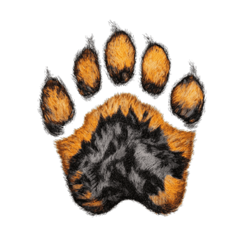 Tiger Paw Print Illustration on transparent background. png