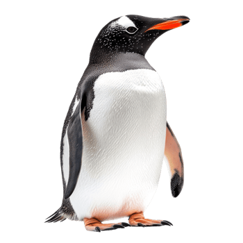 Elegant Gentoo Penguin Wildlife on transparent background. png